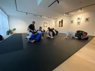 Rogue BJJ Canberra BJJ Academy - photo 1