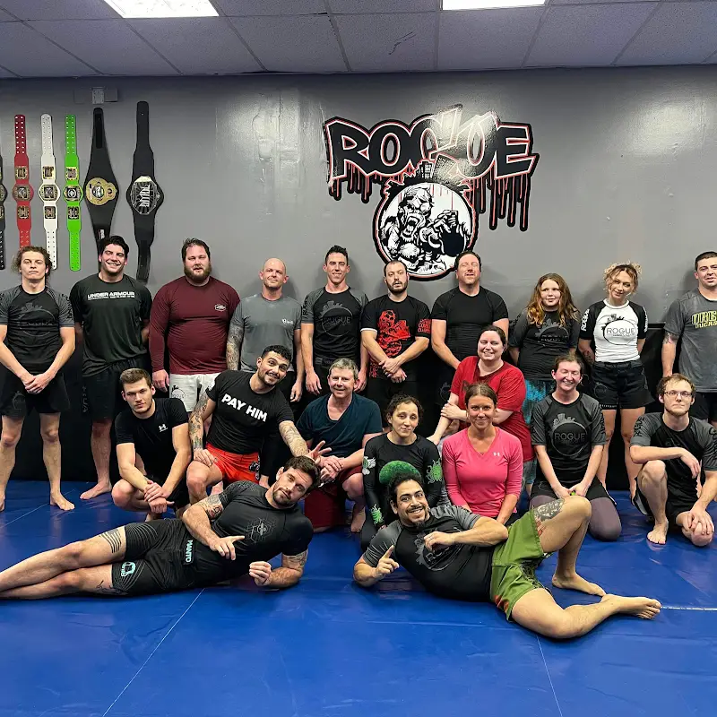 Rogue Combat Club 10th Planet Jiu Jitsu Asheville BJJ Academy - photo 1