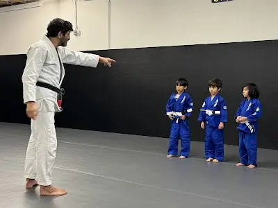 Rogue Jiu-Jitsu BJJ Academy - photo 1