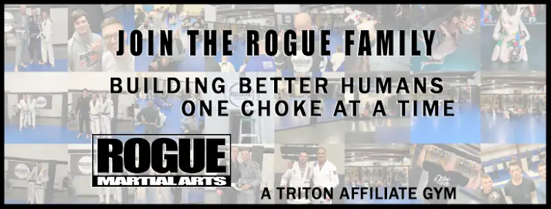 Rogue Martial Arts & Fitness