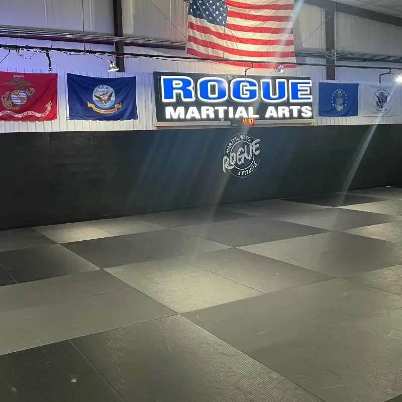 Rogue Martial Arts & Fitness BJJ Academy - photo 2