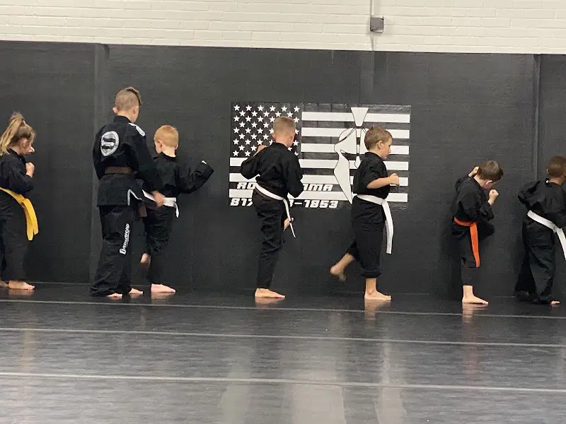 Rogue Martial Arts BJJ Academy - photo 2