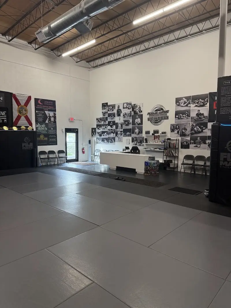 Rogue Wave Martial Arts BJJ Academy - photo 2