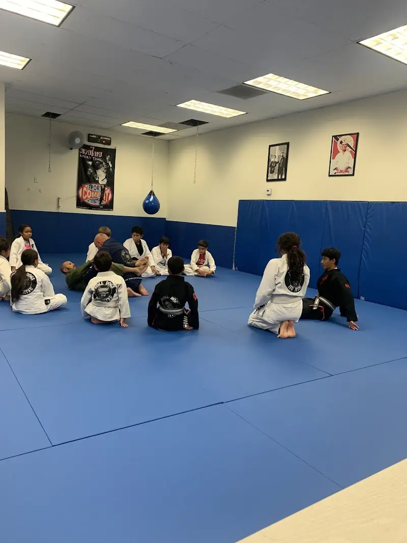 Roll Dogs Jiu-Jitsu BJJ Academy - photo 2