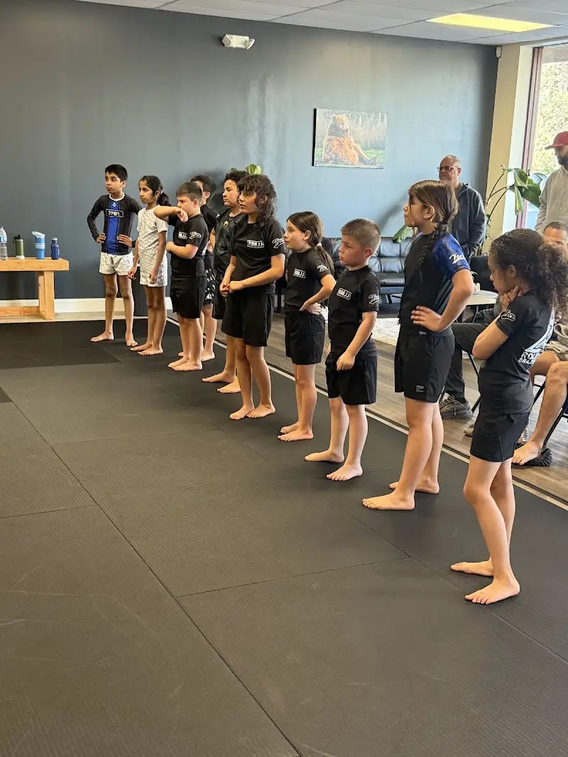 Rolling Bear Brazilian Jiu-Jitsu BJJ Academy - photo 2