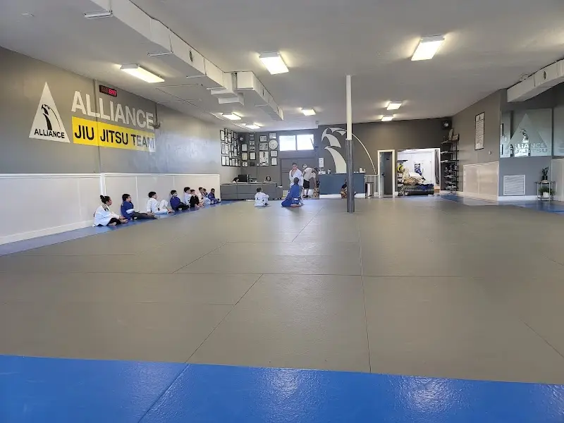 Rollyson Brazilian Jiu Jitsu BJJ Academy - photo 2