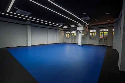 Ronin Jiu-Jitsu Academy