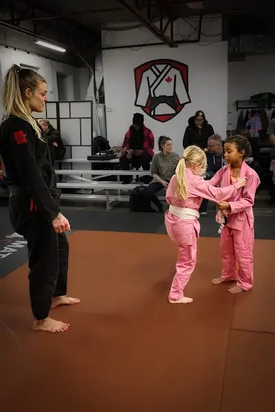 Roninova Jiu-Jitsu BJJ Academy - photo 2