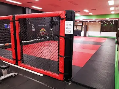 Roots Brazilian Jiu Jitsu Liverpool