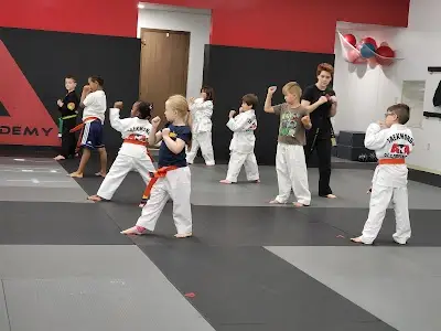 Rosemount Martial Arts Academy BJJ Academy - photo 1