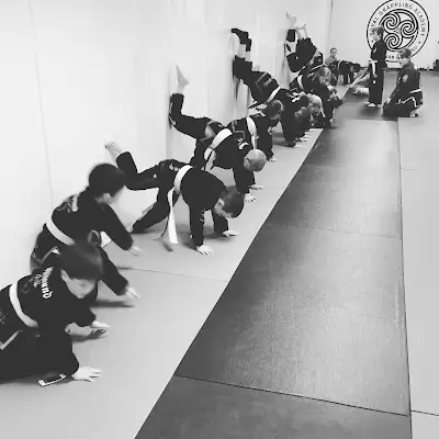 Royal Grappling Academy Navan BJJ Academy - photo 2