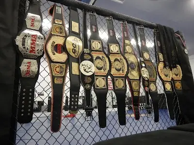Royal Martial Arts LLC BJJ Academy - photo 1
