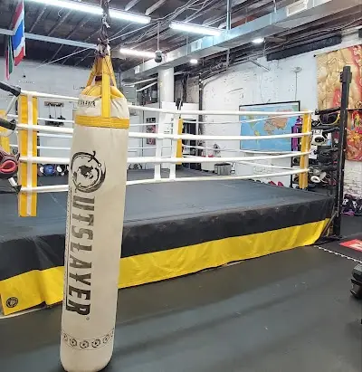 Royal StriKing Muay Thai & BJJ BJJ Academy - photo 2