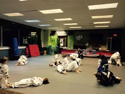 Royce Gracie Jiu Jitsu BJJ Academy - photo 1