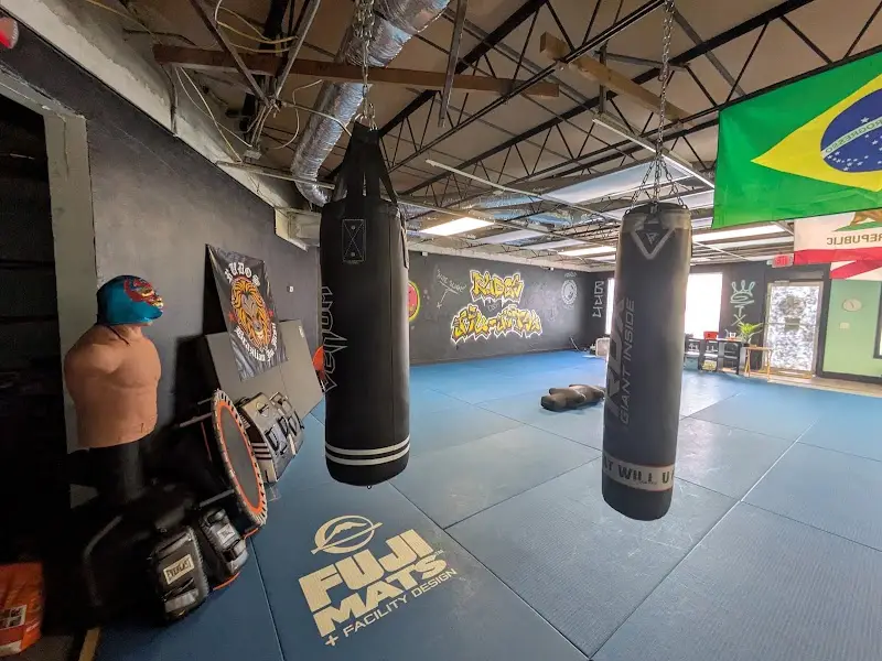 RUDOS Brazilian Jiu Jitsu BJJ Academy - photo 2