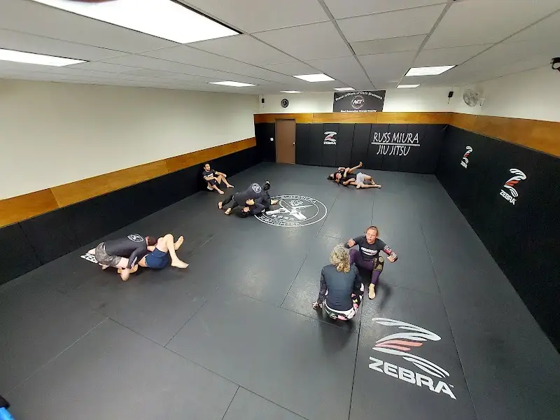 Russ Miura's Subfighter