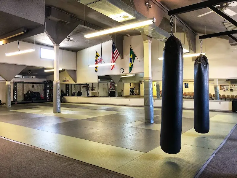 Ryoma Academy of Martial Arts, LLC BJJ Academy - photo 1