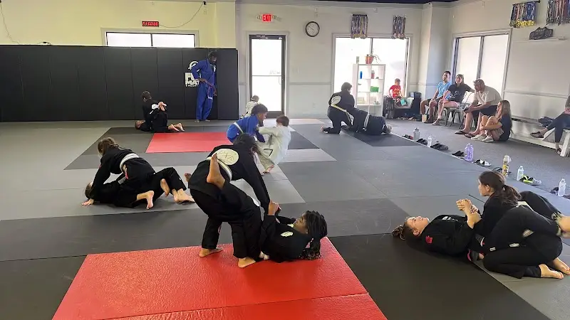 Saga Academy BJJ Academy - photo 1