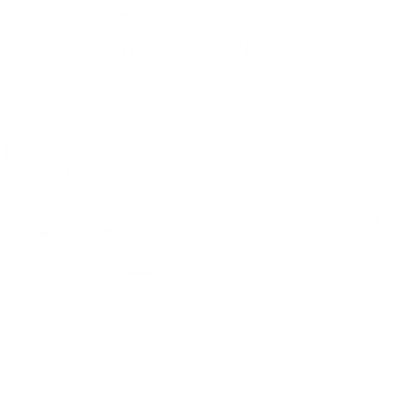 Saiyan Jiu Jitsu BJJ Academy - photo 2