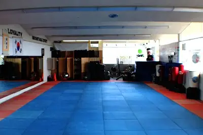 Salinas Taekwondo Academy BJJ Academy - photo 4