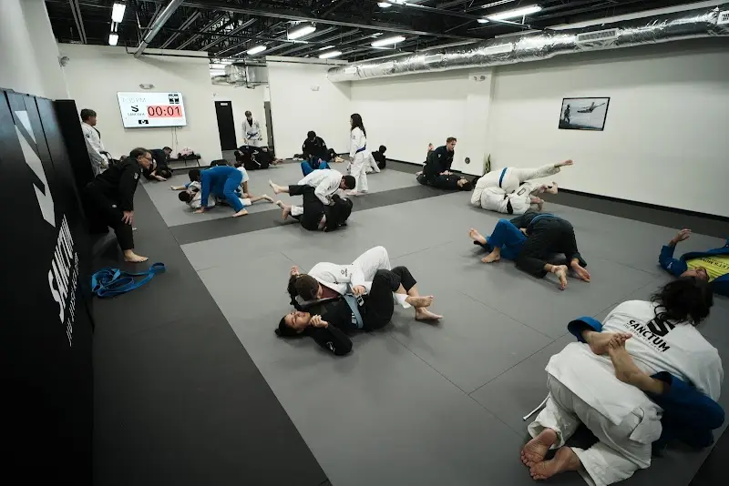 Sanctum Brazilian Jiu Jitsu Academy BJJ Academy - photo 2