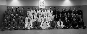 Inside Sanefighting / BJJ, MMA Munich academy