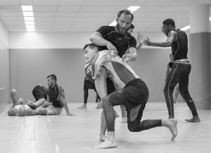 Inside Sanefighting / BJJ, MMA Munich academy