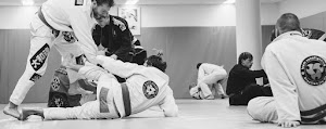 Inside Sanefighting / BJJ, MMA Munich academy