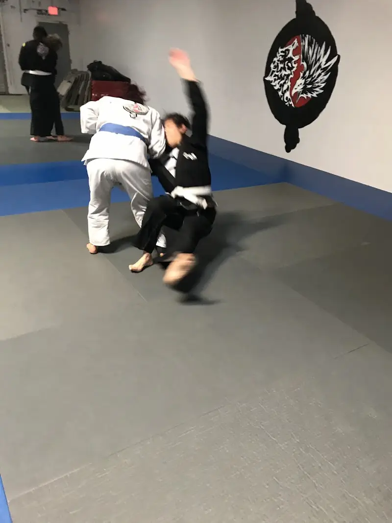Santa Maria Brazilian Jiu Jitsu BJJ Academy - photo 1