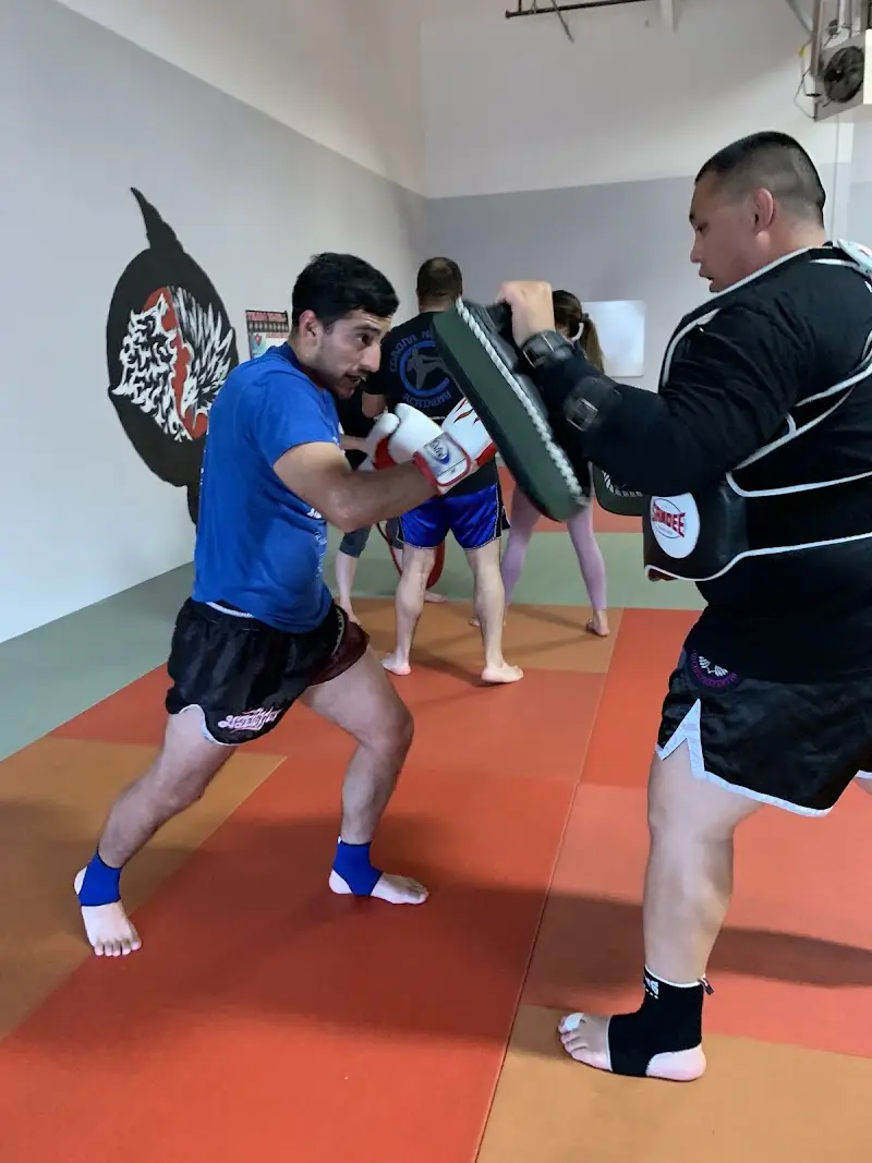 Santa Maria Brazilian Jiu Jitsu BJJ Academy - photo 2