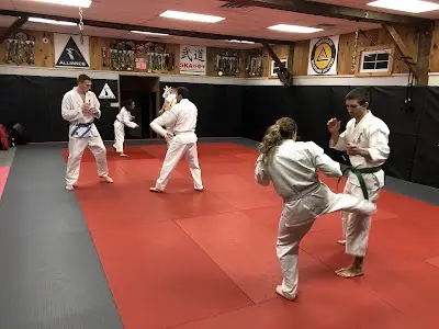 Saratoga Kyokushin & Alliance BJJ BJJ Academy - photo 1
