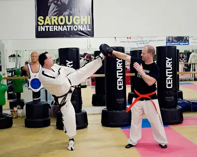 Saroughi International Taekwon-Do Inc