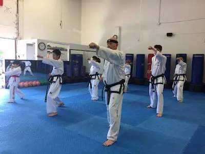 Saroughi International Taekwon-Do Inc BJJ Academy - photo 1