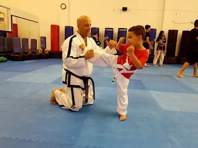 Saroughi International Taekwon-Do Inc BJJ Academy - photo 4