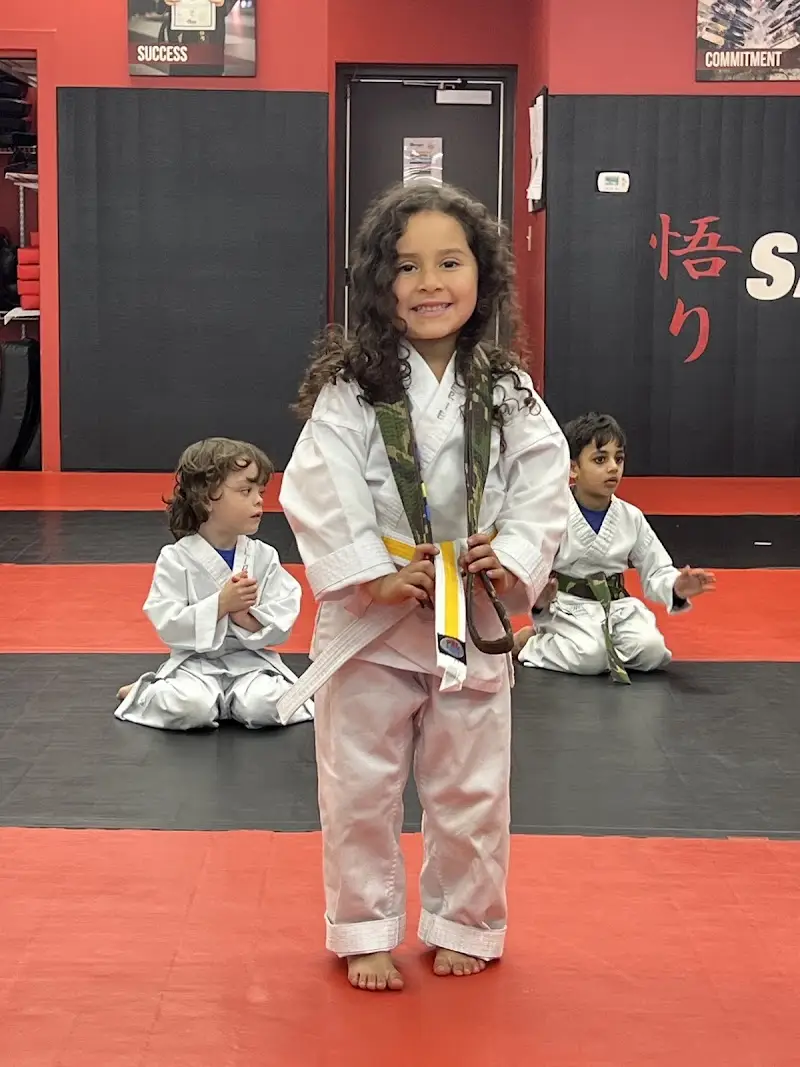 Satori Academy of Martial Arts BJJ Academy - photo 2