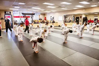Satori Academy of Martial Arts BJJ Academy - photo 1