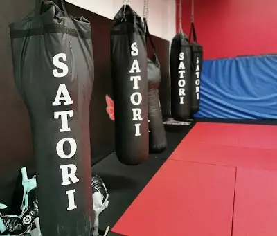 Satori BJJ BJJ Academy - photo 4