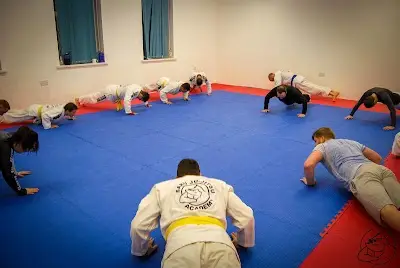 Satori Ju Jitsu Llanelli BJJ Academy - photo 1