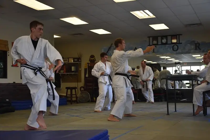 Satori Martial Arts & Fitness Center of Maumee BJJ Academy - photo 1