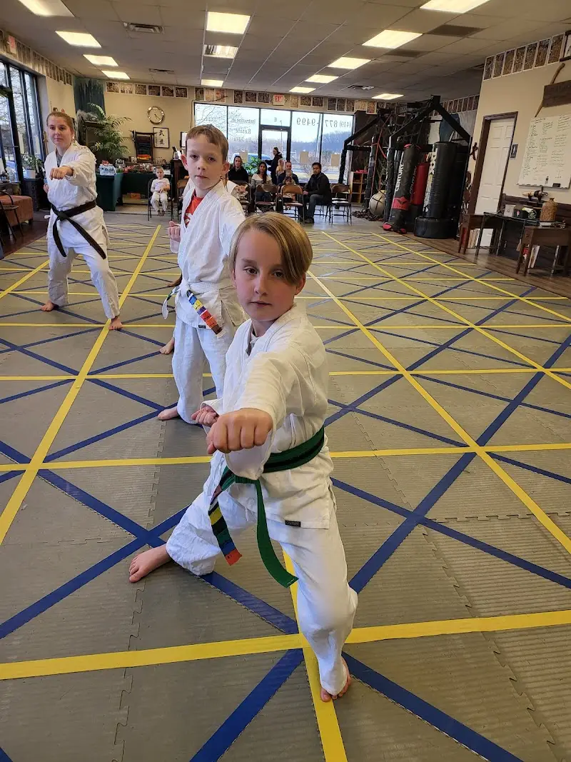 Satori Martial Arts & Fitness Center of Maumee BJJ Academy - photo 2