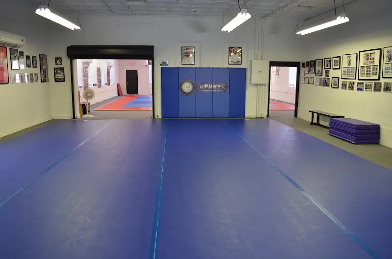 Savarese Brazilian Jiu-Jitsu Academy BJJ Academy - photo 1