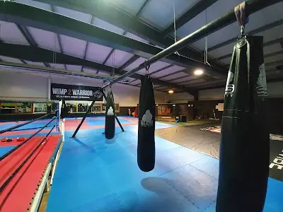 SBG Cork - BJJ, MMA, Kickboxing & Fitness BJJ Academy - photo 3