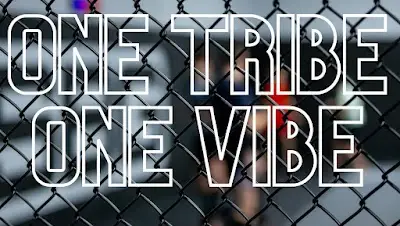 SBG South Shields - MMA, Kickboxing & Jiu Jitsu