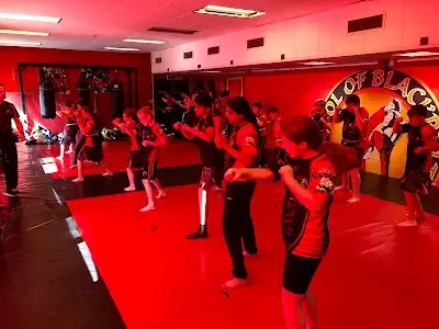 School of Black Belts BJJ Academy - photo 1