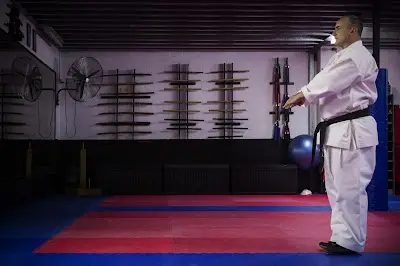 School of Freestyle Martial Arts BJJ Academy - photo 2