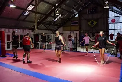 School of Freestyle Martial Arts BJJ Academy - photo 3