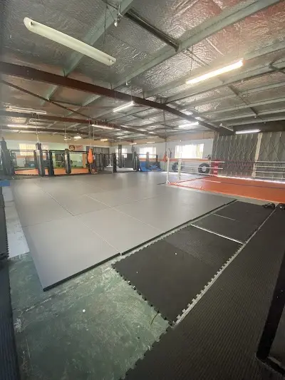 Scrappy MMA & Fitness BJJ Academy - photo 2