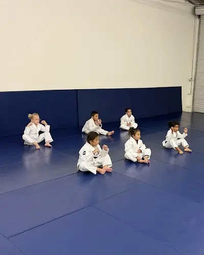 Scripps Ranch Jiu-Jitsu Academy BJJ Academy - photo 3