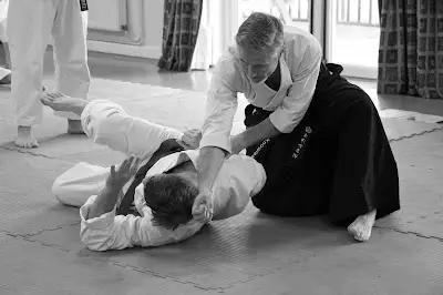 Sei Jou Kai Ju Jitsu