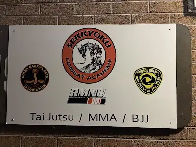 Sekkyoku Combat Academy BJJ Academy - photo 2